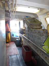 Large picture for advert 102112