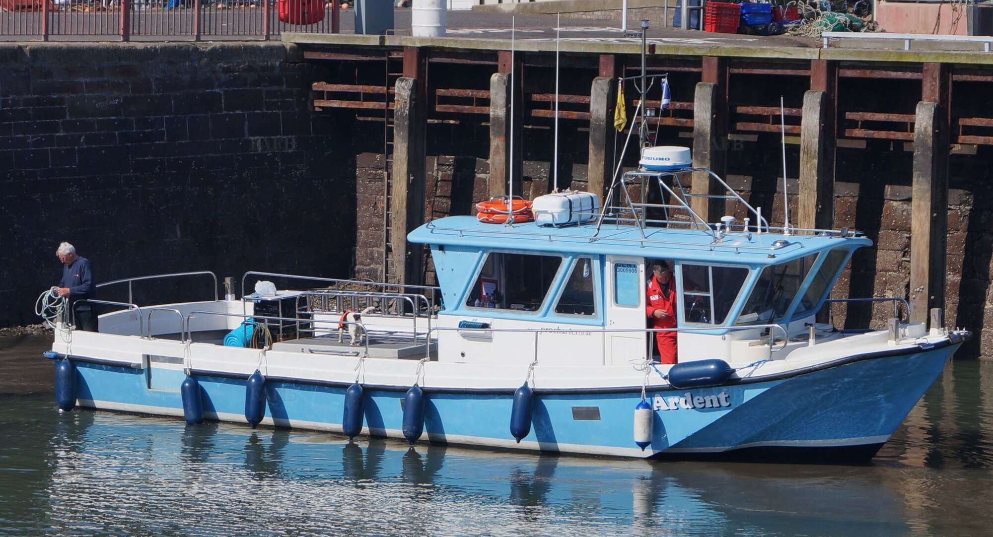 Large picture for advert 116512