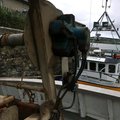 Extra picture for advert 103962